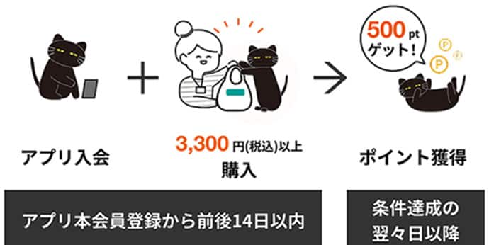 アプリ入会 3,300円（税込み）以上購入 ポイント獲得