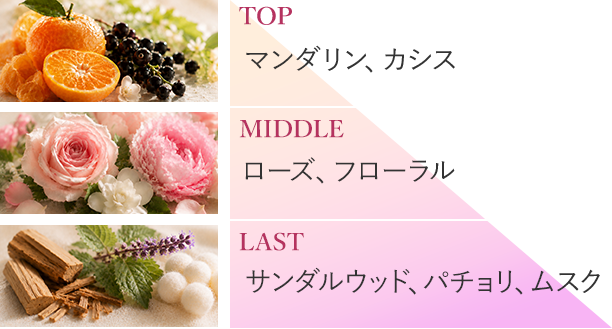 TOP マンダリン、カシス MIDDLE ローズ、フローラル LAST サンダルウッド、パチョリ、ムスク