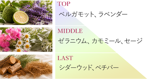 TOP ベルガモット、ラベンダー MIDDLE ゼラニウム、カモミール、セージ LAST シダーウッド、ベチバー