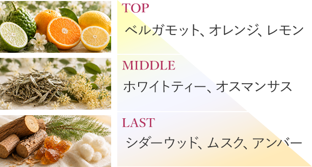 TOP ベルガモット、オレンジ、レモン MIDDLE ホワイトティー、オスマンサス LAST シダーウッド、ムスク、アンバー