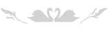 白鳥のイラスト