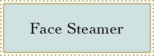 Face Steamer