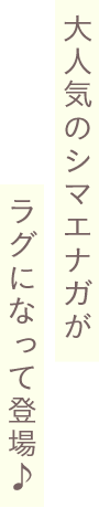 大人気のシマエナガがラグになって登場♪