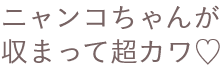 ニャンコちゃんが収まって超カワ♡