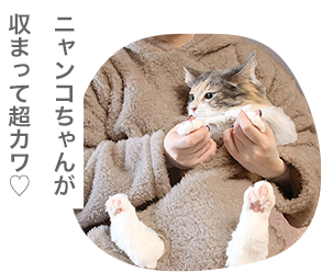ねこ用ポケットにねこが入っている様子