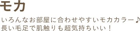 モカ いろんなお部屋に合わせやすいモカカラー♪長い毛足で肌触りも超気持ちいい！