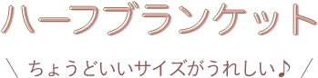 ハーフブランケット ちょうどいいサイズがうれしい♪