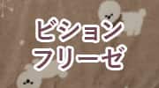 ビションフリーゼ