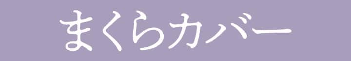 Nモイスト 枕カバー見出し