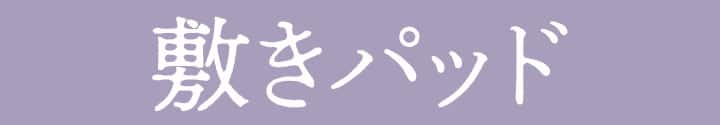 Nモイスト 両面使える 敷パッド見出し
