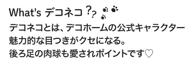What'sデコネコ？