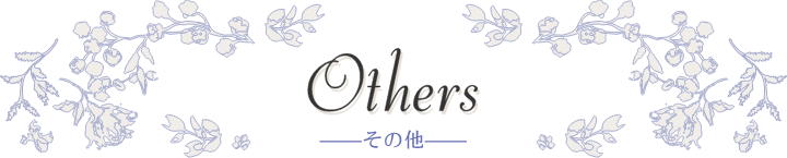 Others その他