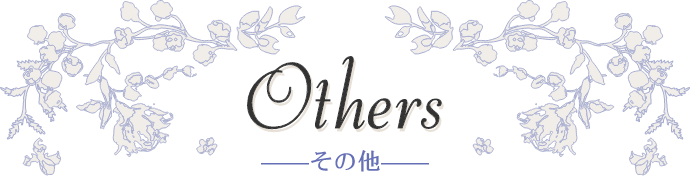 Others その他