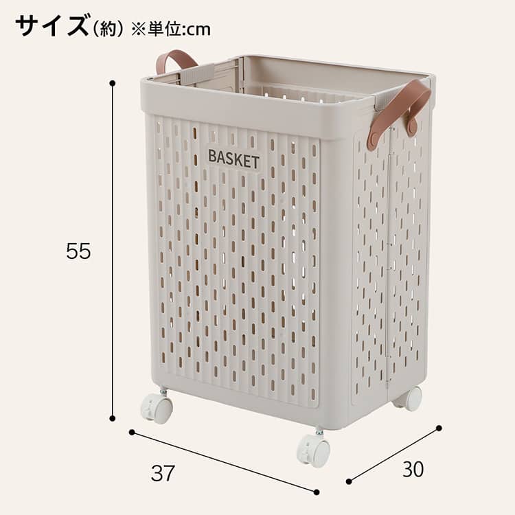 サイズ