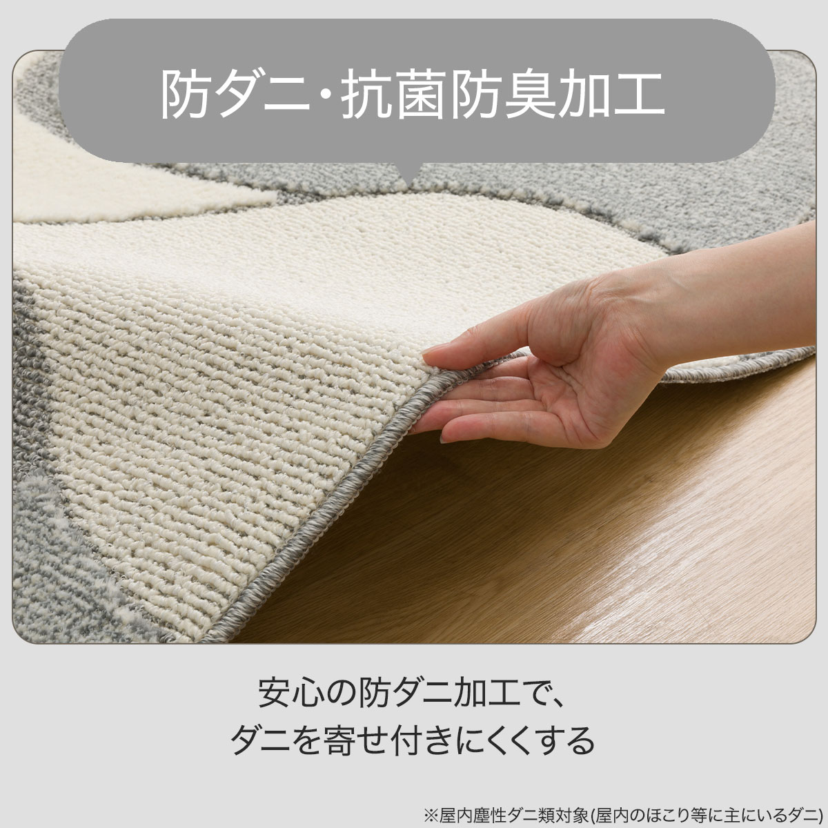 防ダニ抗菌防臭加工