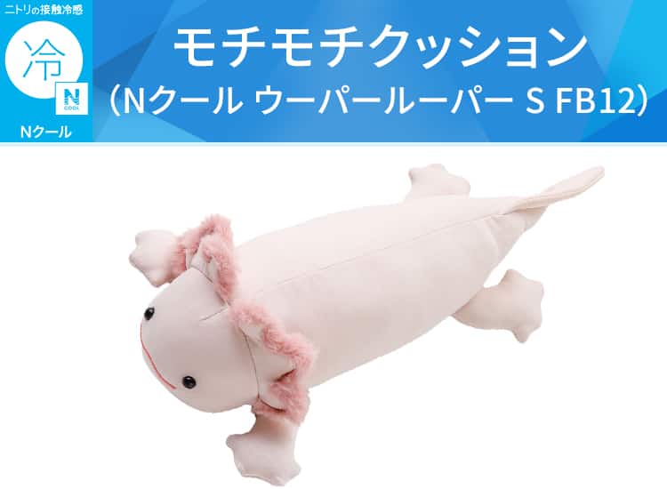 モチモチクッション（Nクール ウーパールーパー S FB12）