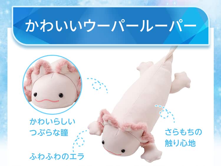 かわいいウーパールーパー