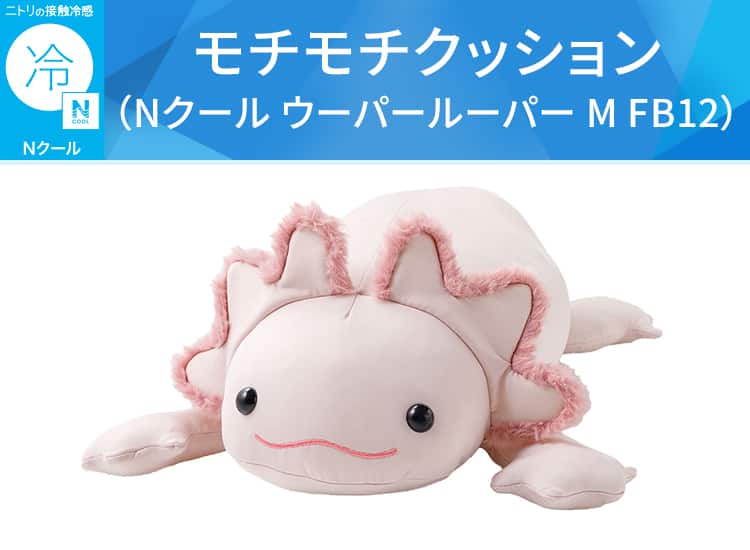 モチモチクッション（Nクール ウーパールーパー M FB12）