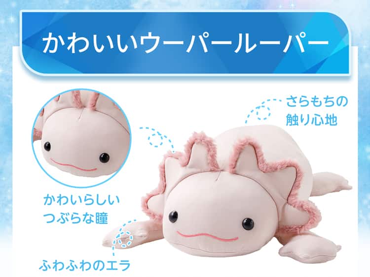 かわいいウーパールーパー