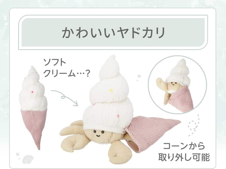 かわいいヤドカリ