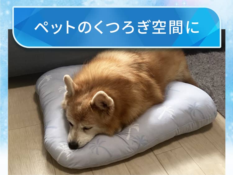 ペットのくつろぎ空間に