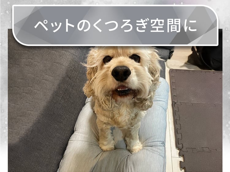 ペットのくつろぎ空間に