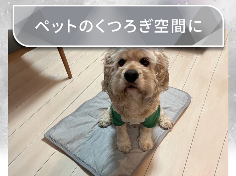 ペットのくつろぎ空間に