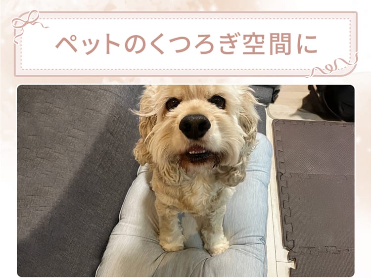 ペットのくつろぎ空間に