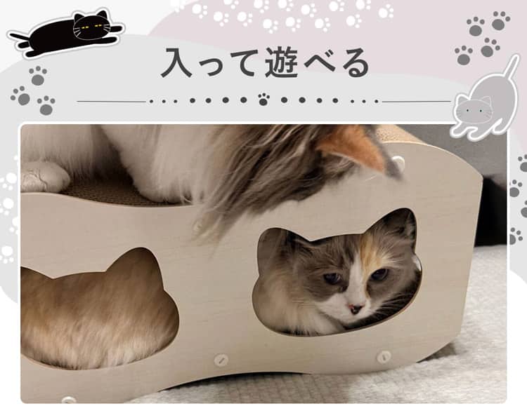 入って遊べる 