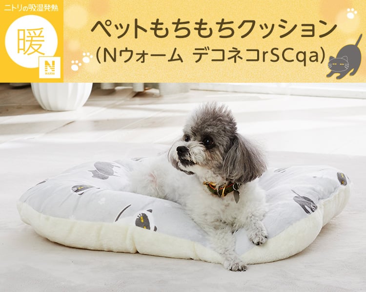 ペットもちもちクッション(Nウォーム デコネコrSCqa)