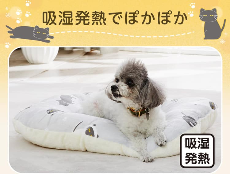 吸湿発熱でぽかぽか