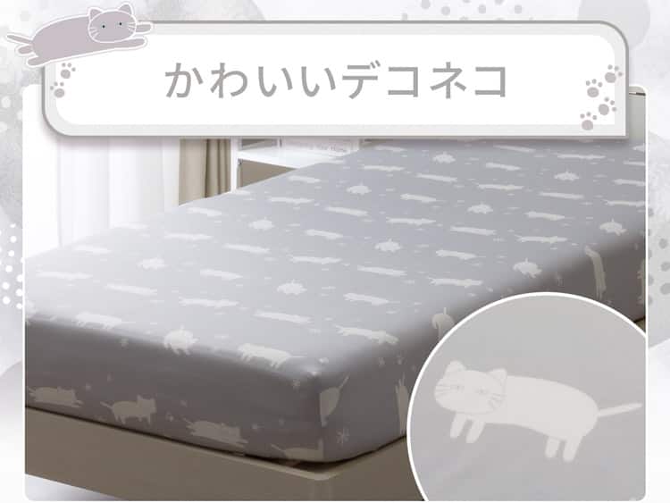 かわいいデコネコ