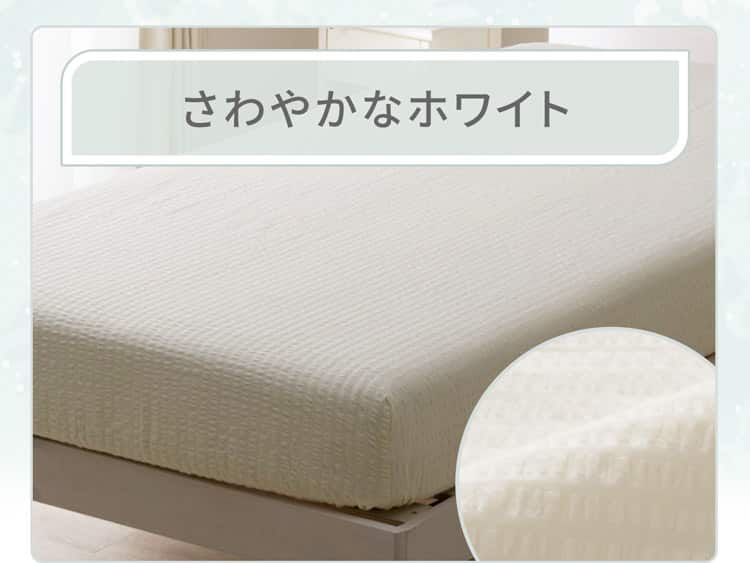 さわやかなホワイト