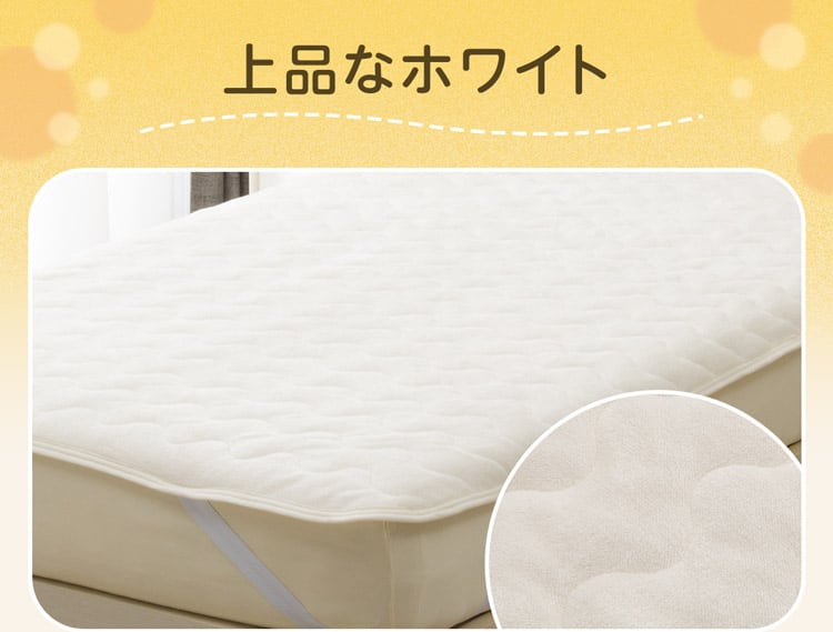 上品なホワイト
