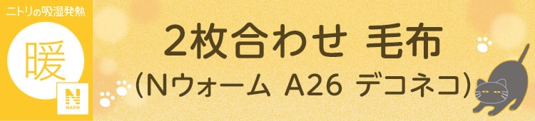 2枚合わせ 毛布(Nウォーム A26 デコネコ)
