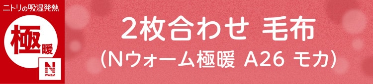 2枚合わせ 毛布(Nウォーム極暖 A26 モカ)