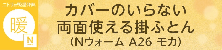 カバーのいらない 両面使える掛ふとん（Nウォーム モカ A26）