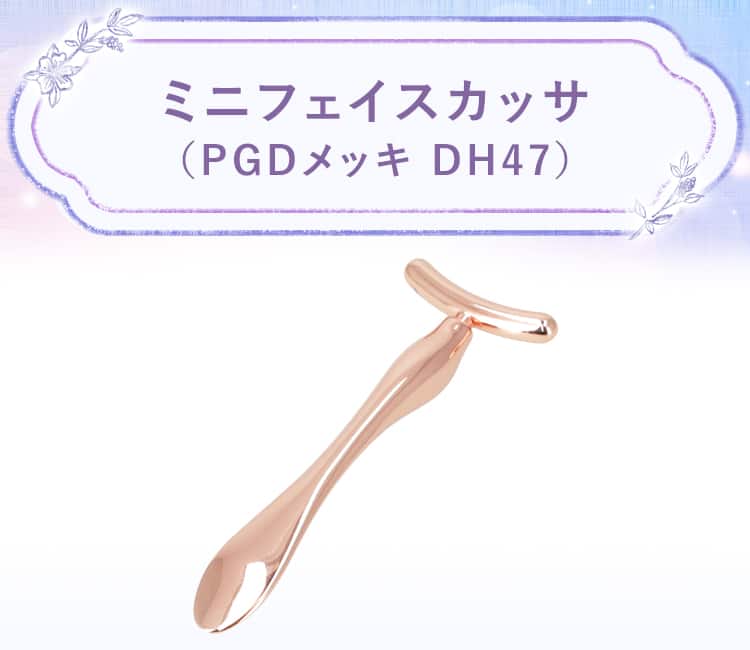 ミニフェイスカッサ(PGDメッキ DH47)
