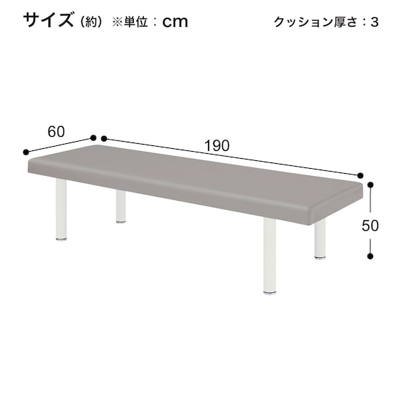診察台(TB-908 幅60×奥行190×高さ50cm GY) 10枚目画像