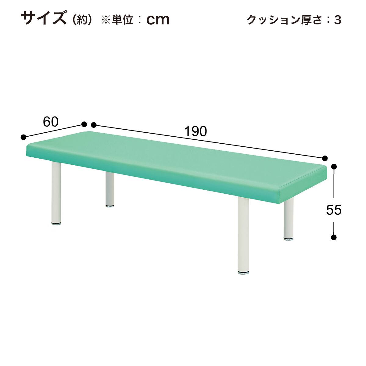 診察台(TB-908 幅60×奥行190×高さ55cm LGR) | ニトリネット【公式