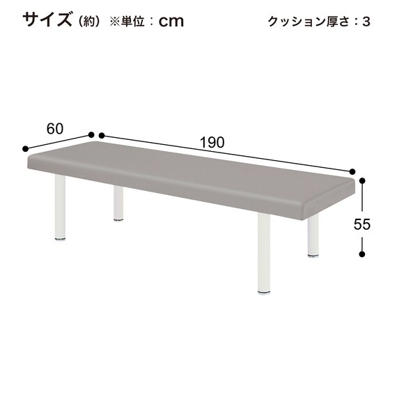 診察台(TB-908 幅60×奥行190×高さ55cm GY) 10枚目画像