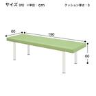 診察台(TB-908 幅60×奥行190×高さ60cm LMGR) 10枚目画像