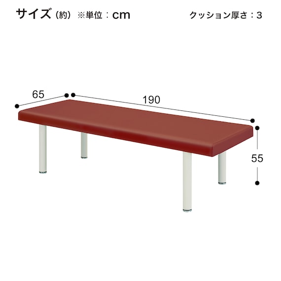 診察台(TB-908 幅65×奥行190×高さ55cm LBR) 10枚目画像