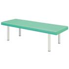 診察台(TB-908 幅65×奥行190×高さ60cm LGR) 1枚目画像