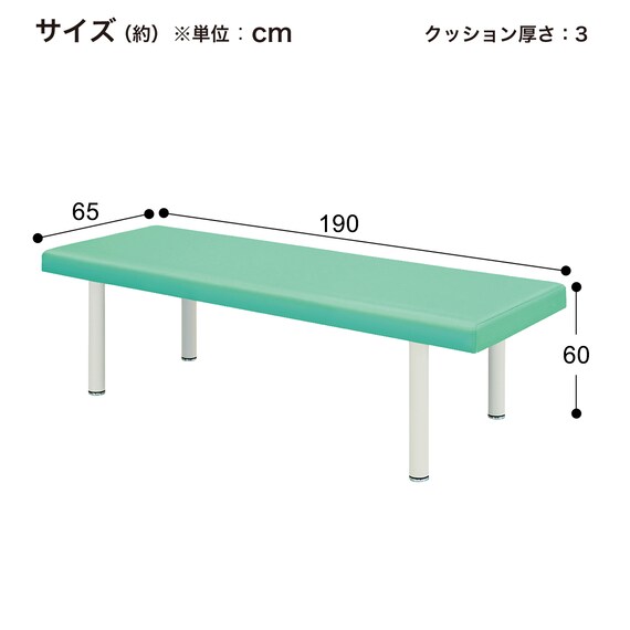 診察台(TB-908 幅65×奥行190×高さ60cm LGR) 10枚目画像