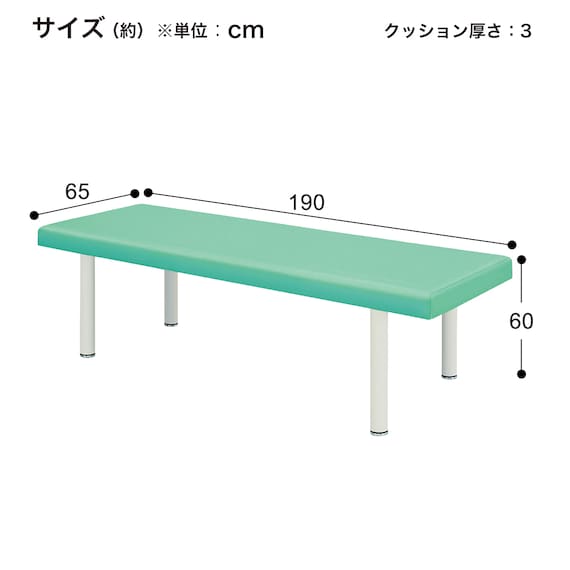 診察台(TB-908 幅65×奥行190×高さ60cm LGR) 10枚目画像