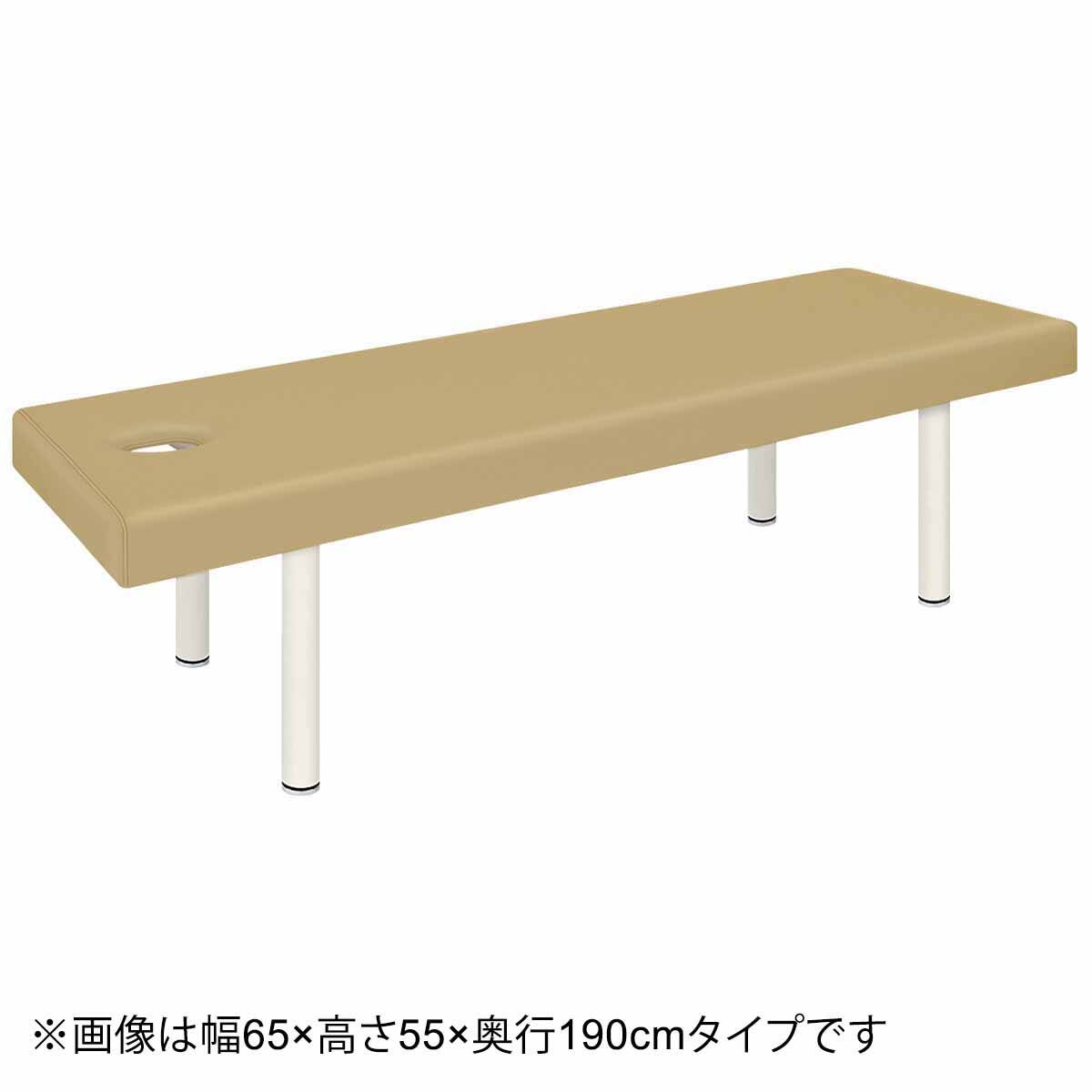 診察台(TB-908U 幅65×奥行190×高さ55cm 有孔タイプ IV) | ニトリネット