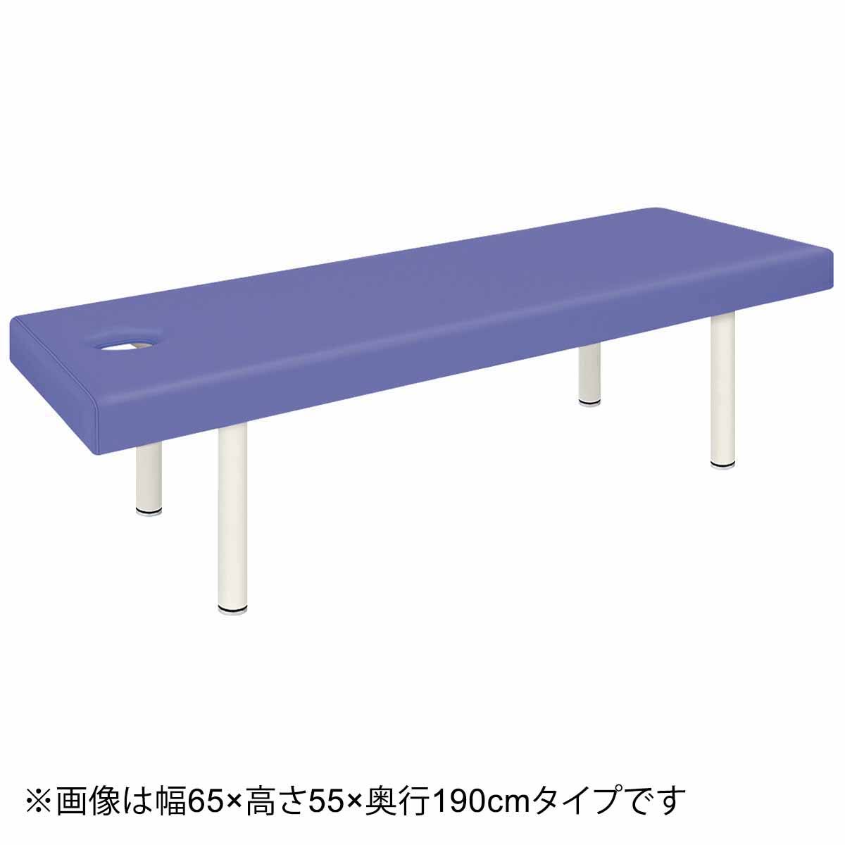 診察台(TB-908U 幅65×奥行190×高さ55cm 有孔タイプ LBL) | ニトリ