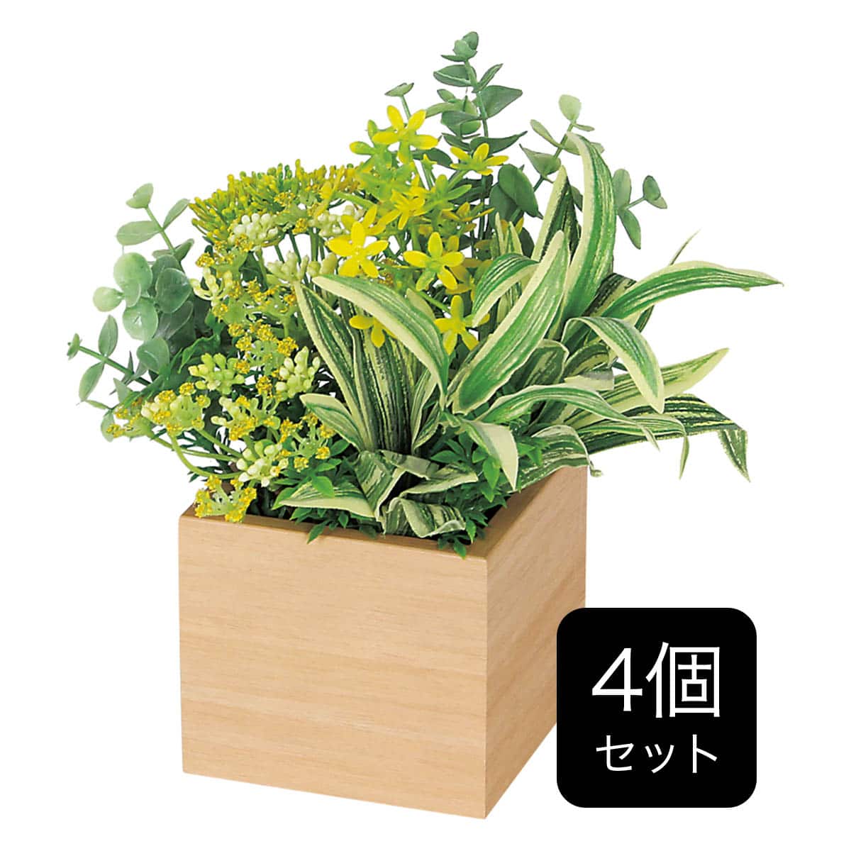 卓上グリーンポット(GR4381 NA) | ニトリネット【公式】 家具