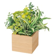 【単品・セット販売】卓上グリーンポット(GR4381 NA)